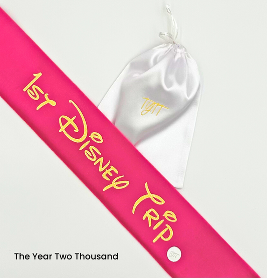 1st Disney Trip